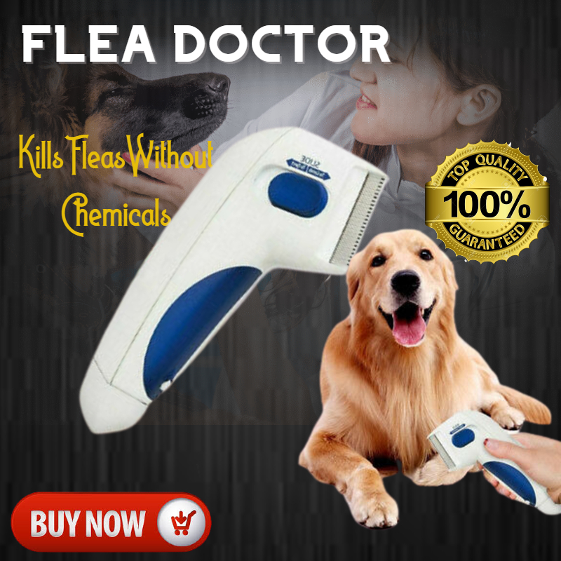 electronic flea collar