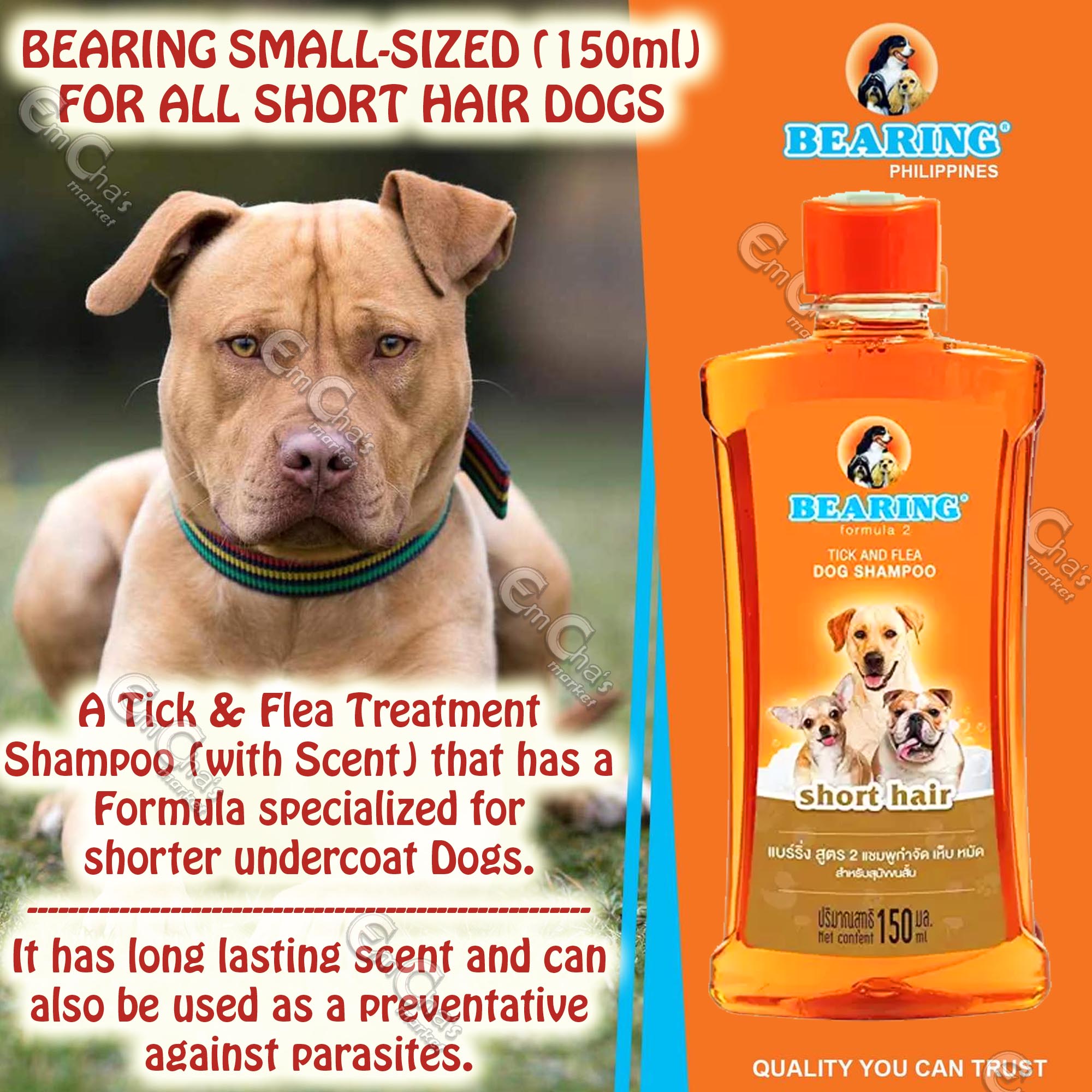 Bearing Formula 2 (Small-Sized 150ml) (Short Hair) Tick and Flea Dog  Shampoo Formulated for ALL SHORT-HAIRED DOGS (agr) | Lazada PH