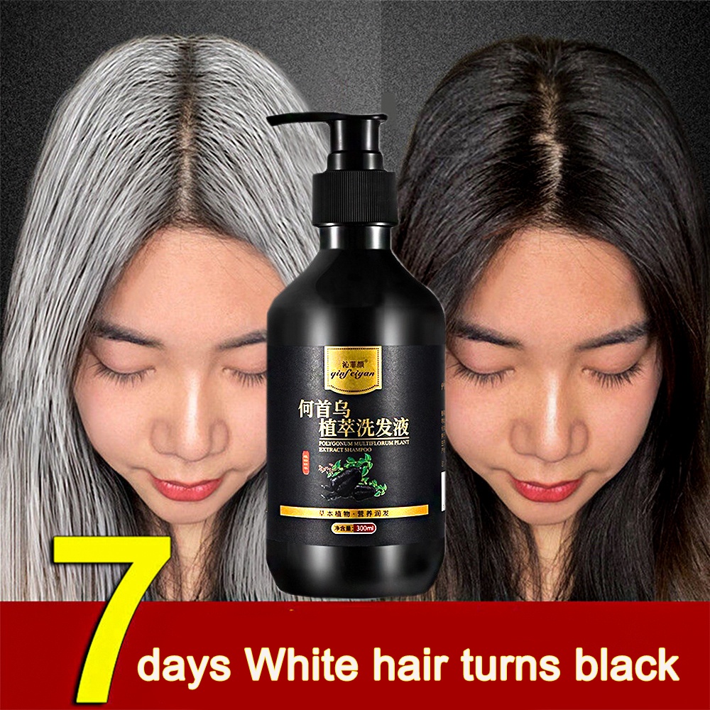 Herbal Natural Polygonum Multiflorum Shampoo Effective White Hair Turns to  Black Hair Shampoo Grey Hair Treatment 300ml | Lazada PH