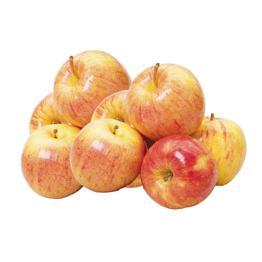Small Gala Apple Bundle (6pcs) Lazada PH