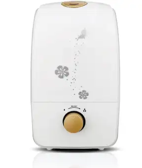 air humidifier price