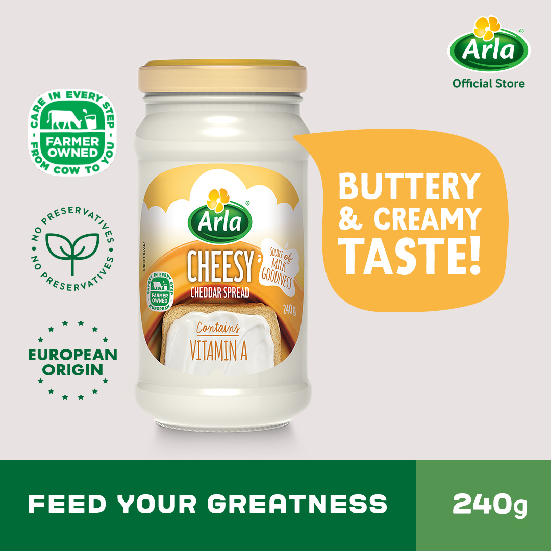 Arla Cheddar Spread 240g Lazada PH