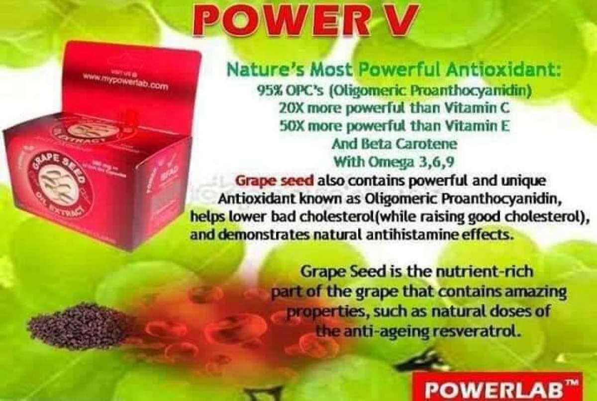 FULLY GOODIES GRAPESEED OIL EXTRACT (60 SOFT GELS) Lazada PH