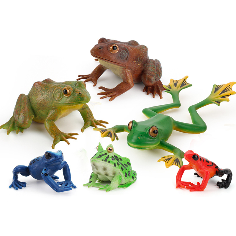 ♞In Stock Wholesale♞Simulation Wild Amphibious Animal Model Toys Frog Tree  Frog Bullfrog Toad Frogs Toy Cognitive Ornaments Children Play House Toys  Creative Gift