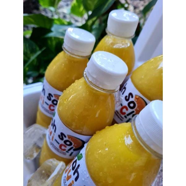 Pure Calamansi Juice Extract 500mL unsweetened Lazada PH