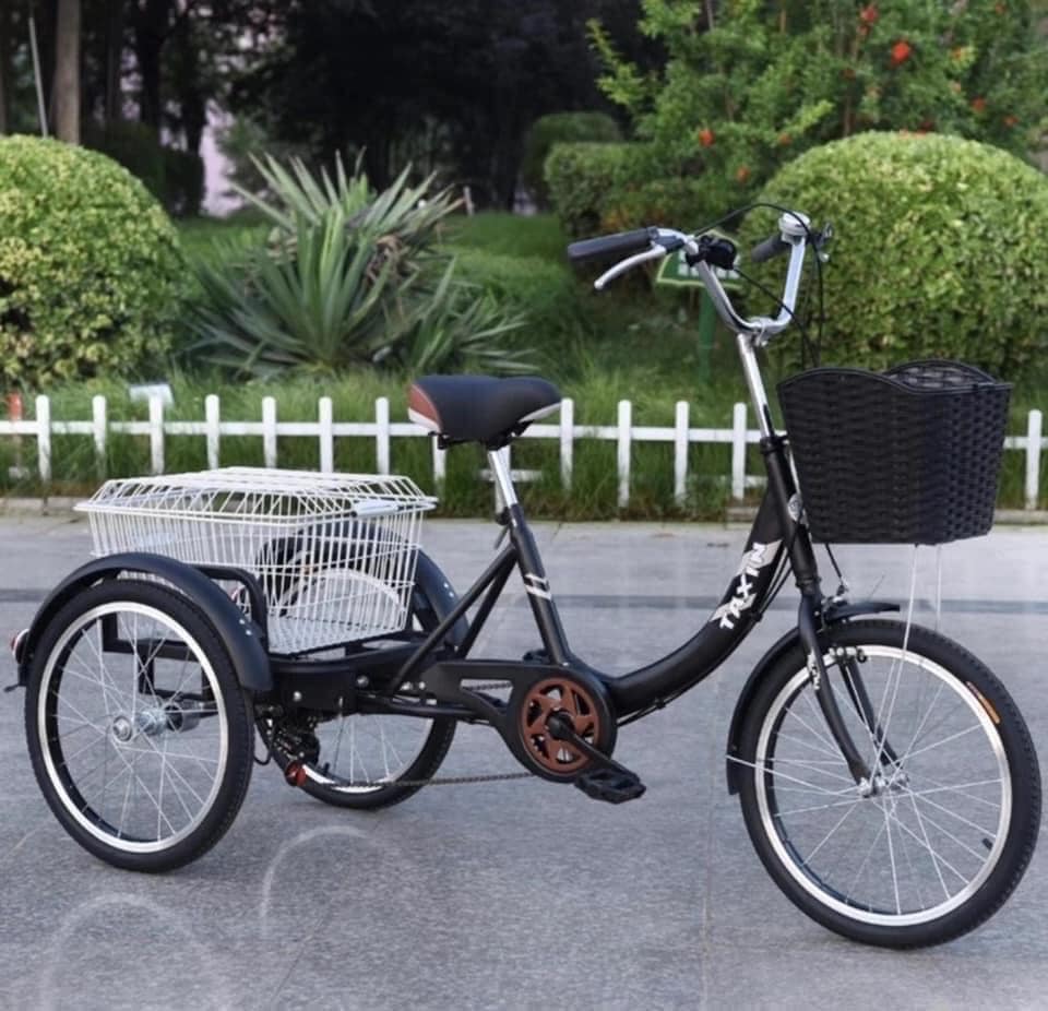 Premium Quality 20 ER Cargo Bike for Adults - Big Size Modern Tribike ...