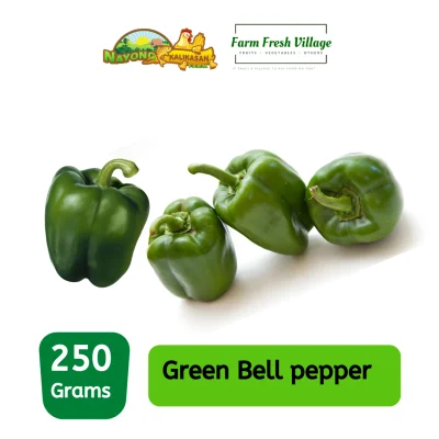 FARM FRESH VILLAGE - Bell pepper Green 250 grams