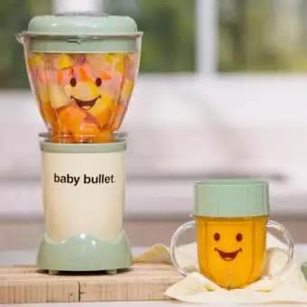 baby food bullet