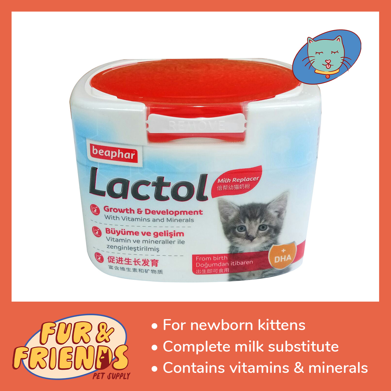 Lactol Milk Replacement for Kittens Lazada PH