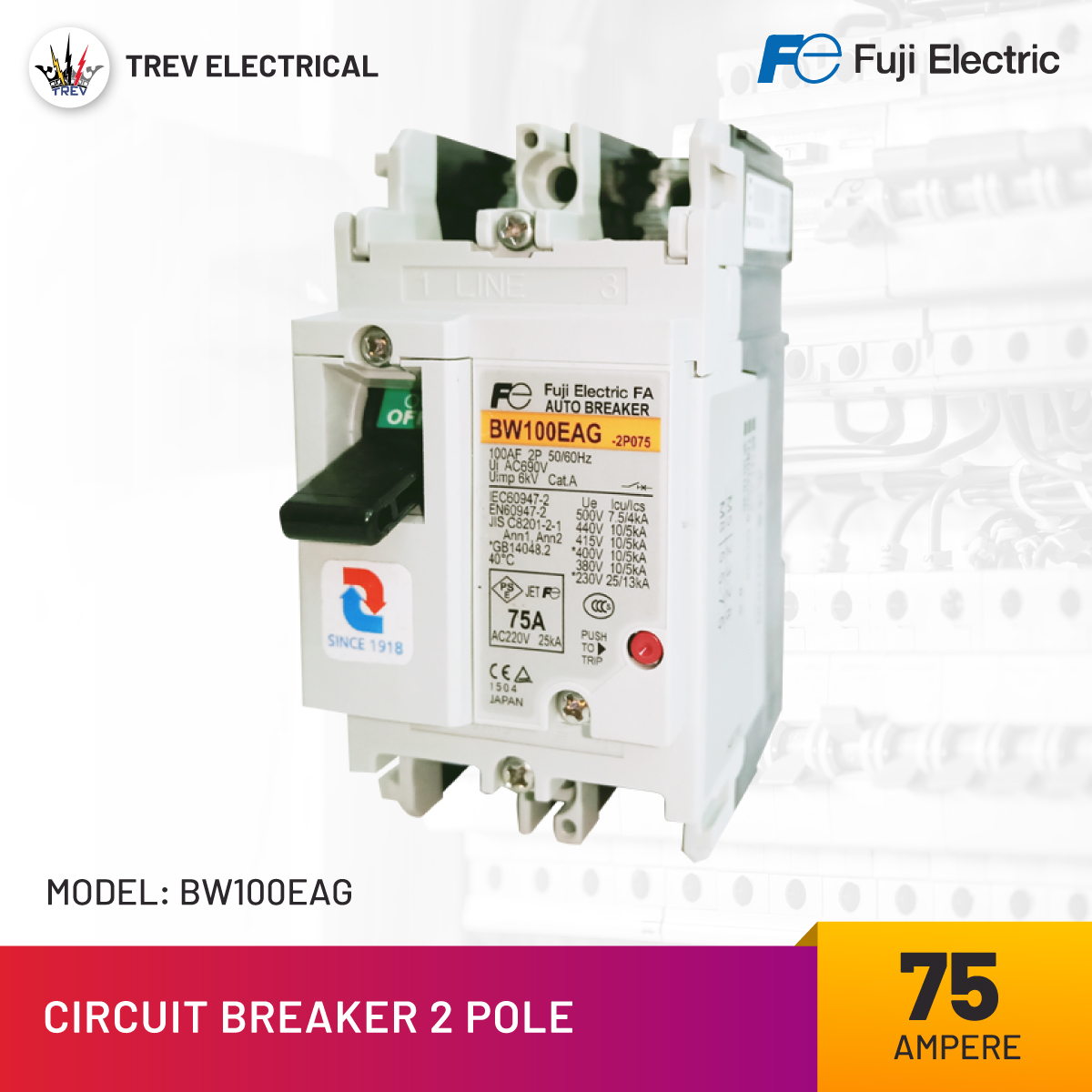Fuji Electric Breaker  3P 63A BW100EAGU  NIB  Max AC 500v