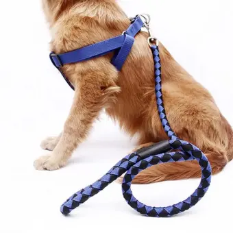 pet store for sale near me