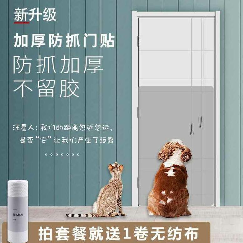 Why Do Dogs Scratch At Walls