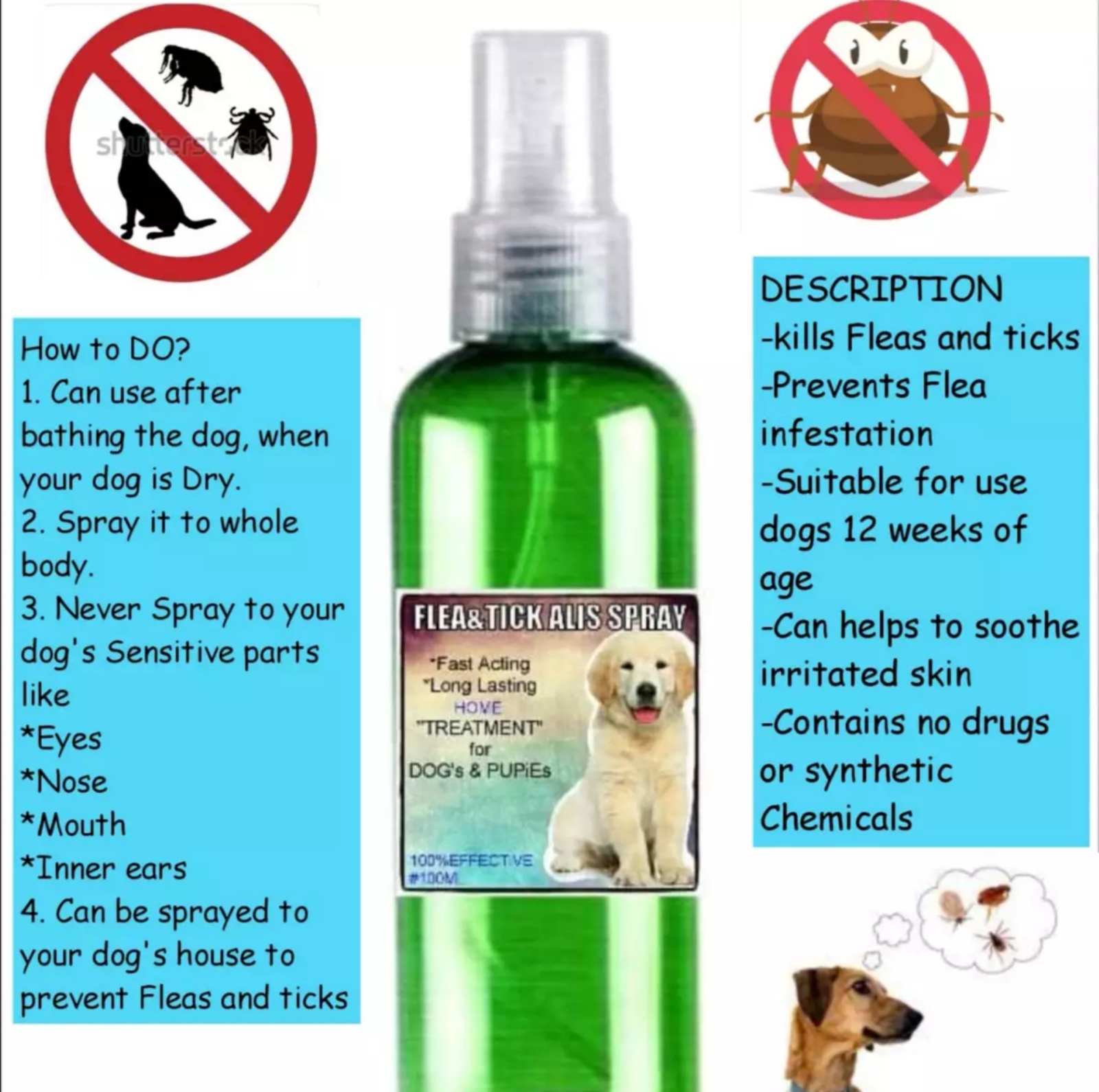 Do Dogs Spray