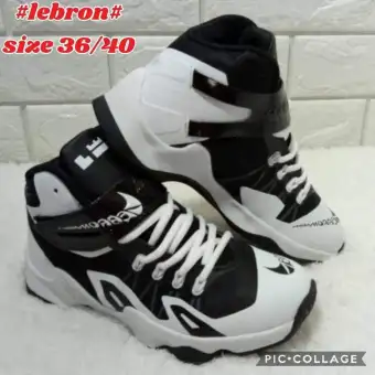 lebron size