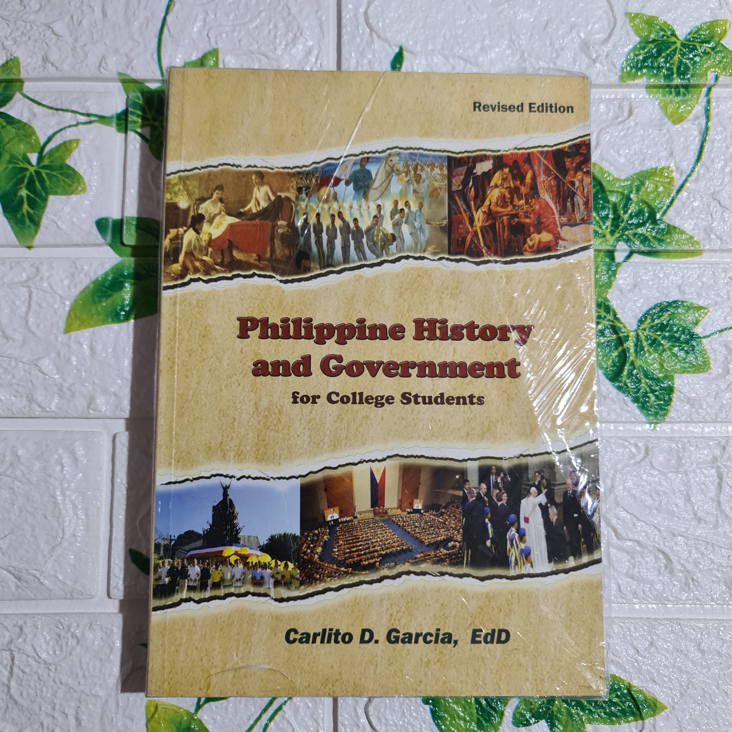 Philippine History and Goverment for college students ByCarlito D