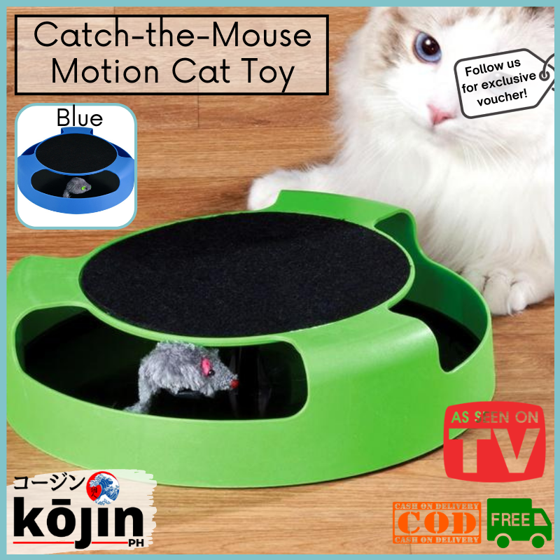 crazy cat toy as seen on tv