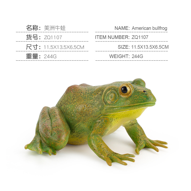 ♞In Stock Wholesale♞Simulation Wild Amphibious Animal Model Toys Frog Tree  Frog Bullfrog Toad Frogs Toy Cognitive Ornaments Children Play House Toys  Creative Gift