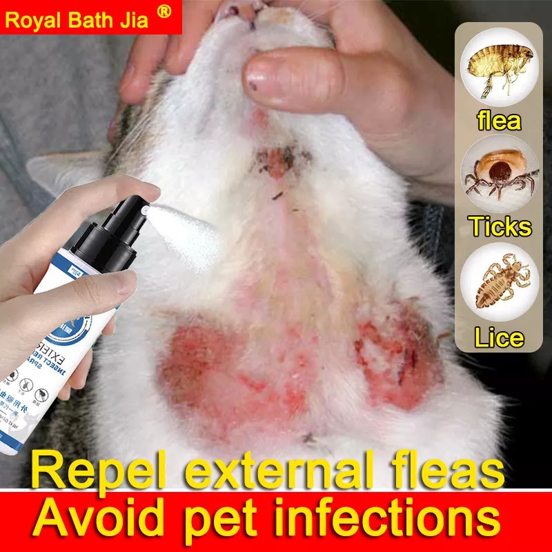 Pet Flea and Tick Remover spray for Dogs & Cats100ml Anti fungal for ...