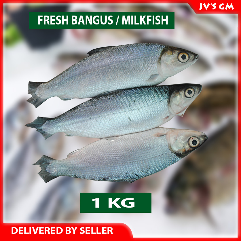Seafood Fresh Bangus/Milkfish, 1KG Lazada PH