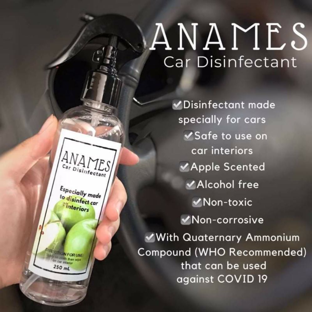 Anames Car Disinfectant Spray Lazada Ph 4612