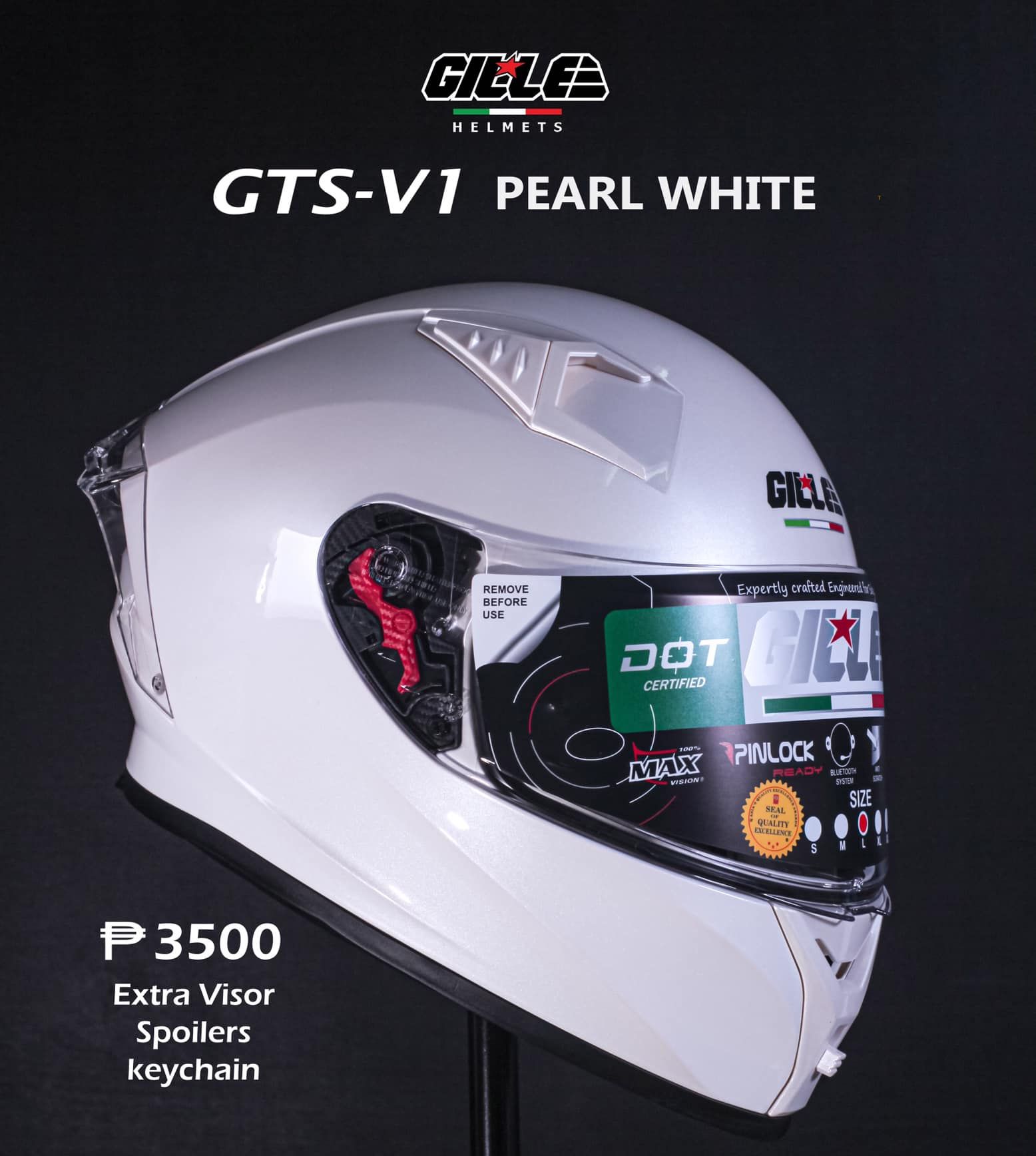 GILLE Helmet GTS V1 Full Face Dual 