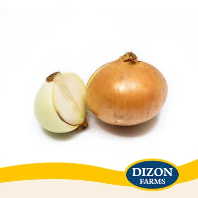 Onion White / kg