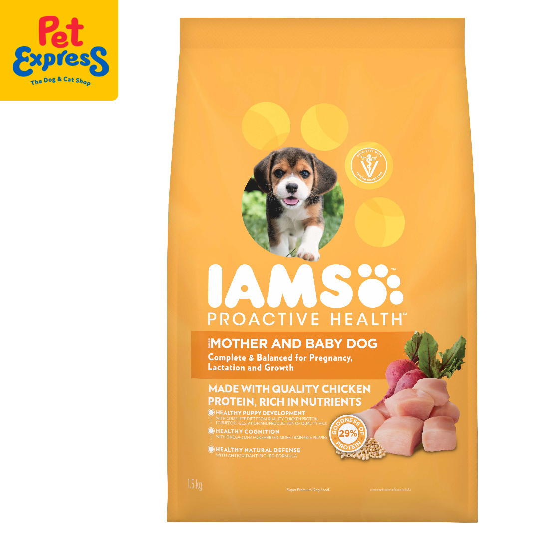 iams dog food cheapest price