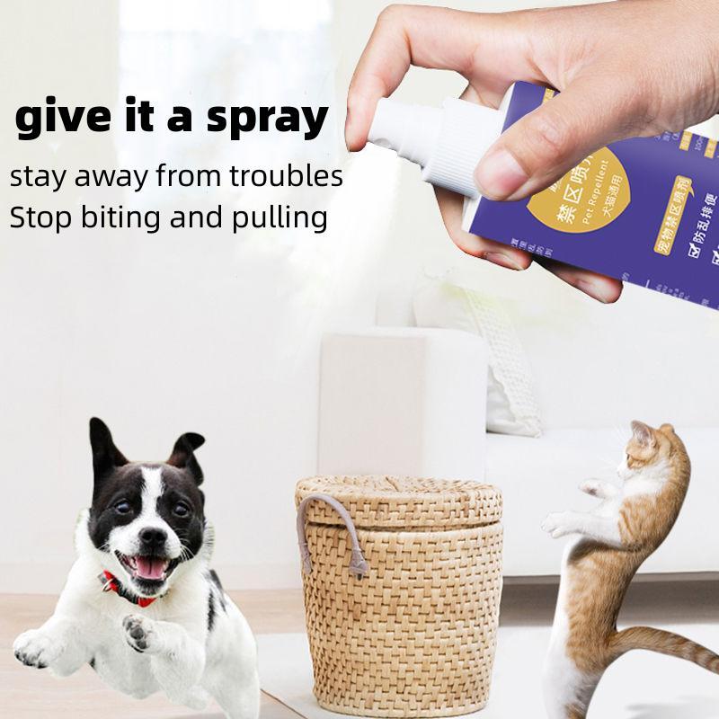 Will Spraying Dog With Water Stop Biting
