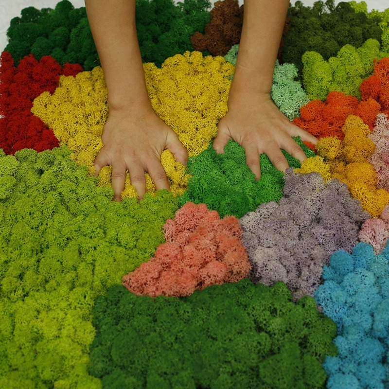 JK3U 1 Túi Đám cưới Rêu Phong cảnh Nhân tạo Thủ công Hoa Nhà máy Vi tuần lộc Hoa khô Tự làm Cỏ