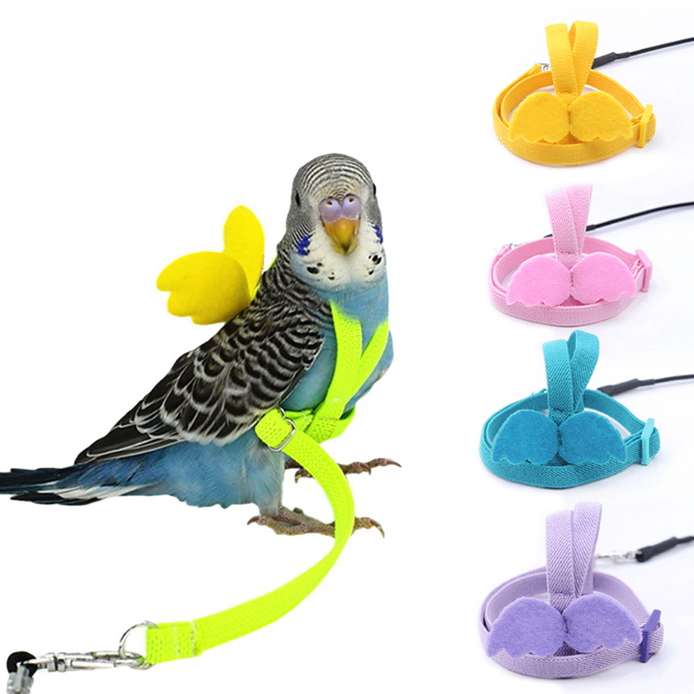 bird leash for budgies