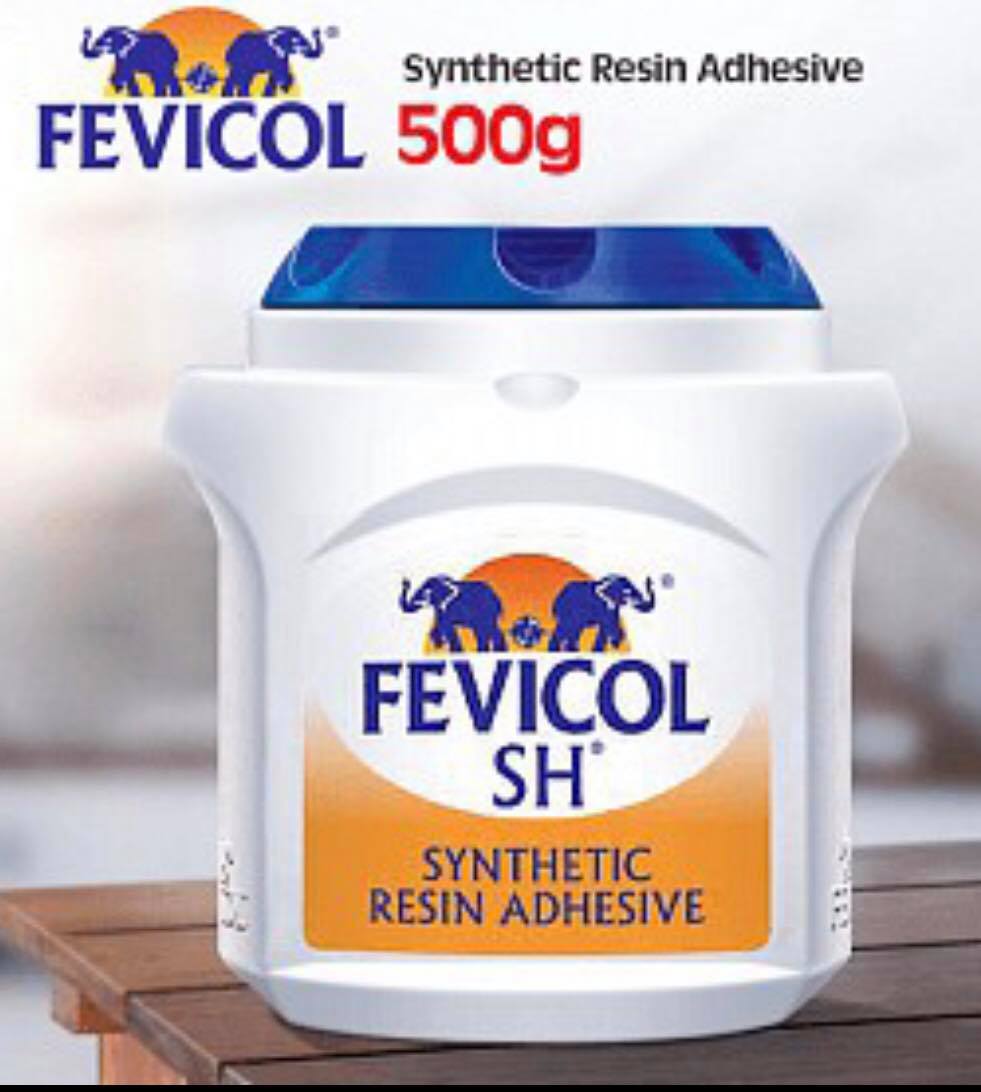 FEVICOL Synthetic Resin Adhesive 125g/ 500g/ 1kg Lazada PH