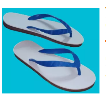 beach walk slipper price