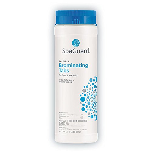 BioGuard SpaGuard Brominating Tablets 1.5 lbs Lazada PH
