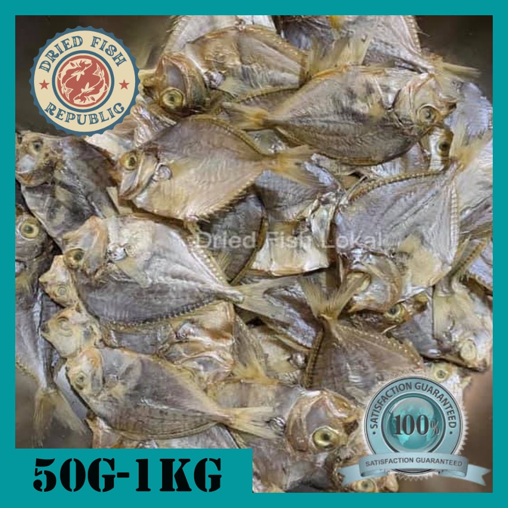 Dried Fish Republic 50g 100g 250g 500g 1kg Sapsap Dried Fish from Cebu