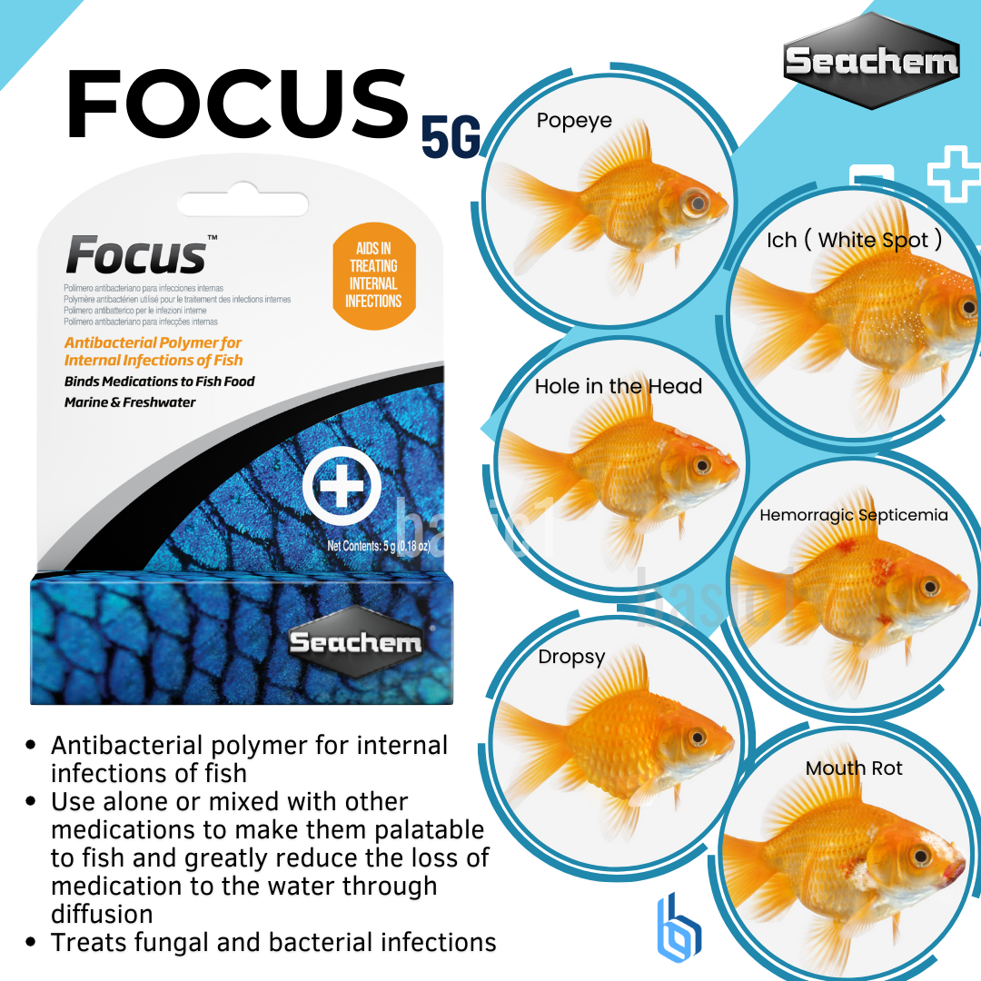 Seachem focus 2025