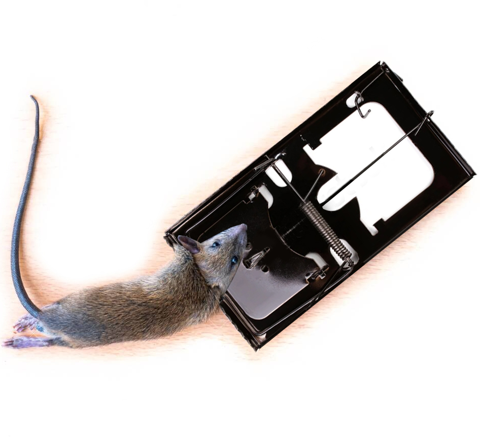 Black Metal Mouse Trap for Mice Anti Pest reusable trap Avoid rust