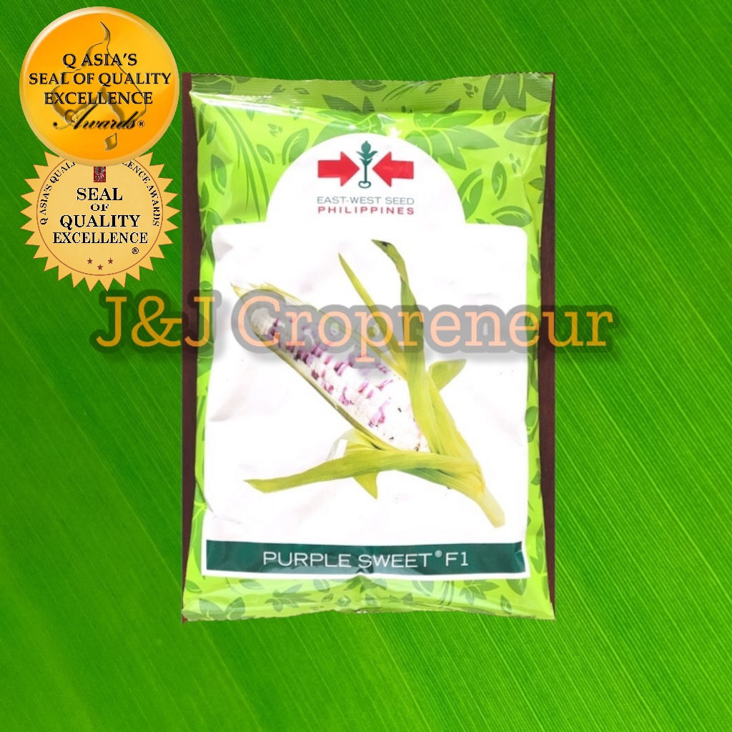 PURPLE SWEET F1 (KILO) HYBRID BATIK CORN BY EAST WEST SEEDS Lazada PH