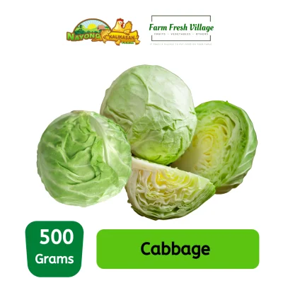 FARM FRESH VILLAGE - Cabbage 500 grams