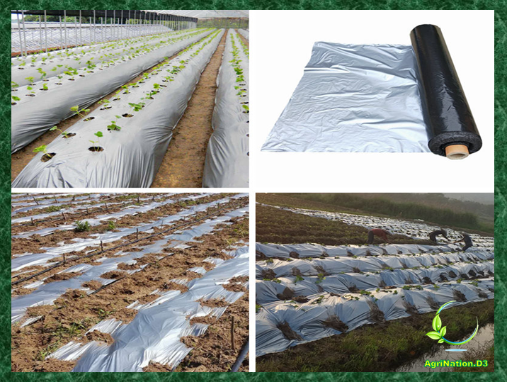 Plastic Mulch 4ft x 20meters (35microns) Lazada PH