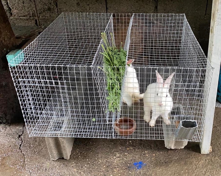 old mother hubbard treats