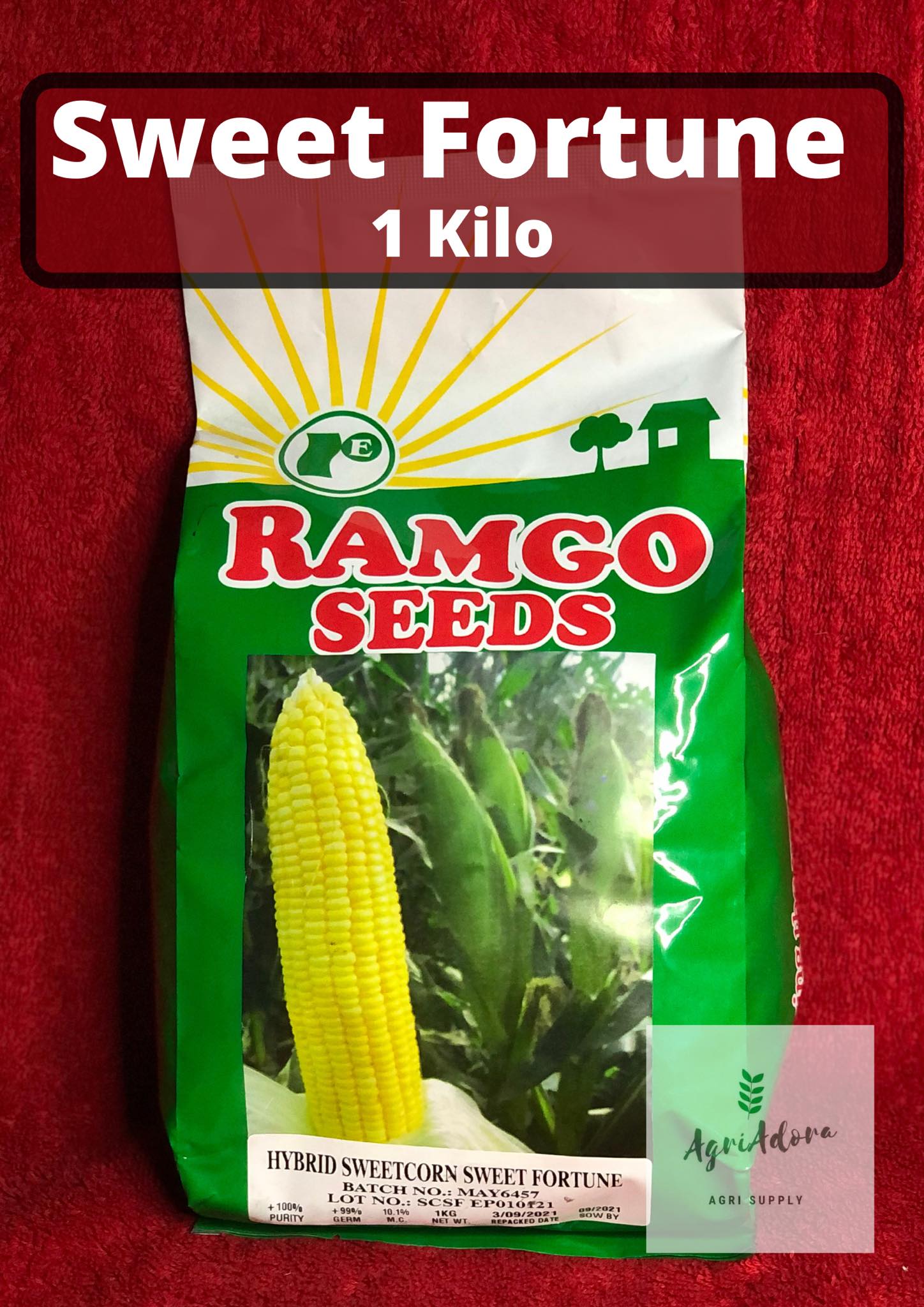 Sweet Fortune Sweet Corn Seeds 1 Kilo (Ramgo Seeds) Lazada PH