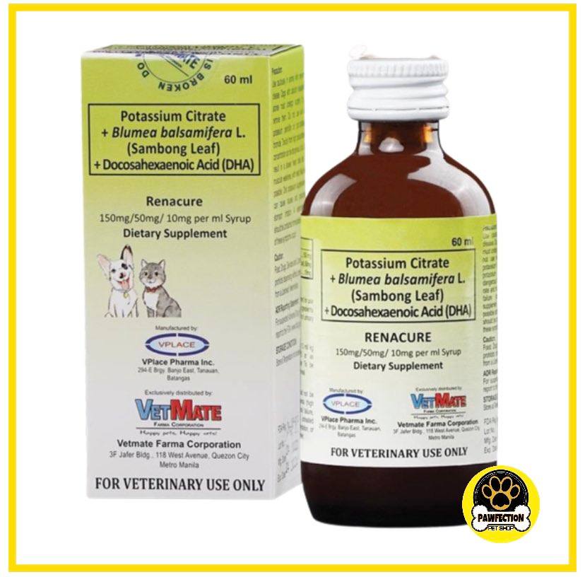 Papi Renacure Kidney Supplement for Dogs and Cats (60ml) | Lazada PH