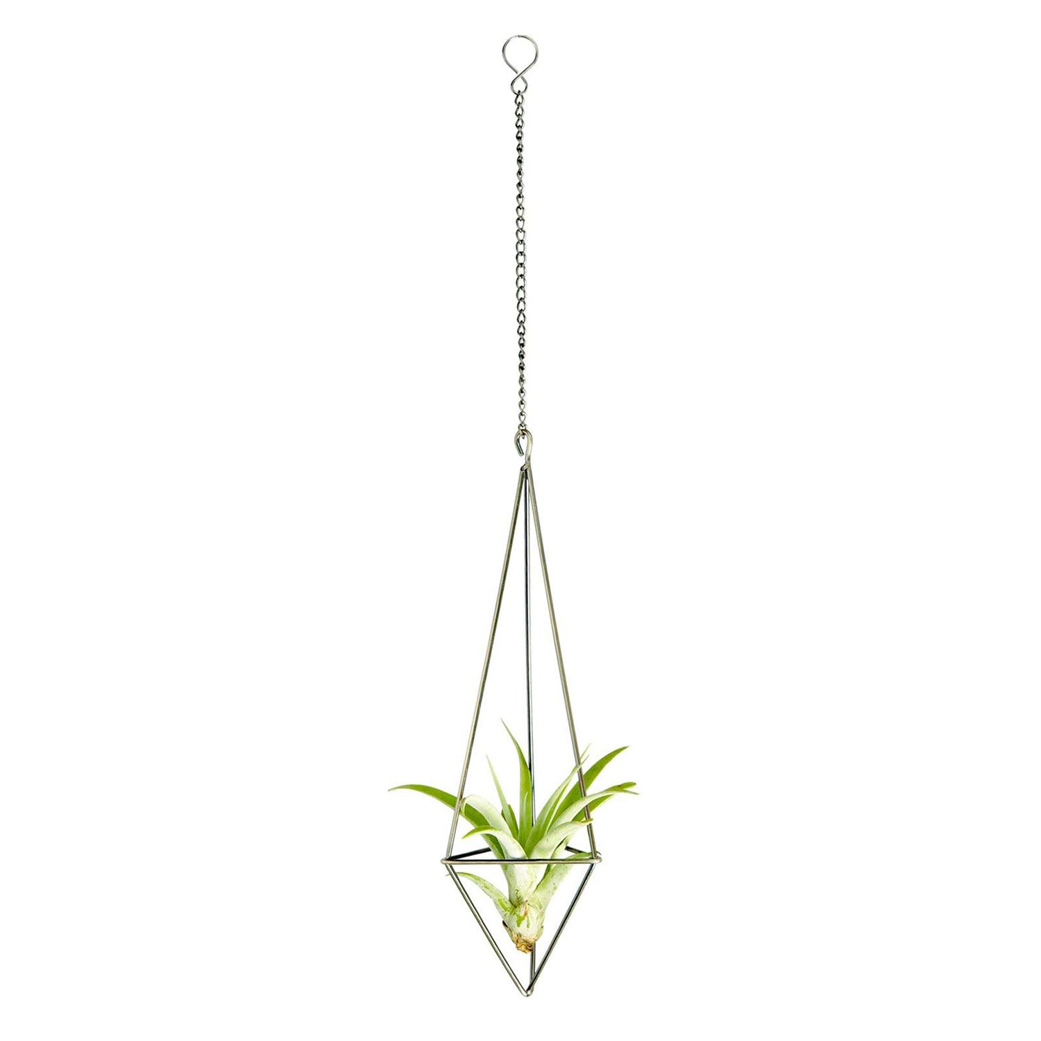 1 Pack Hanging Air Plant Holder For Tillandsia Display Geometric Planter With Chains Home Decor