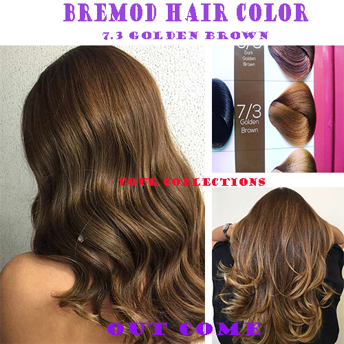 Authentic Bremod Performance Spa Hair Color Golden Brown  with Bremod  Oxidizer 6% 100g | Lazada PH