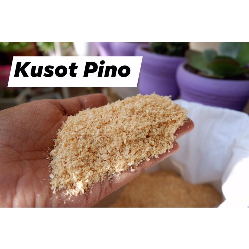 Sawdust (Kusot Pino) Cat Litter Lazada PH