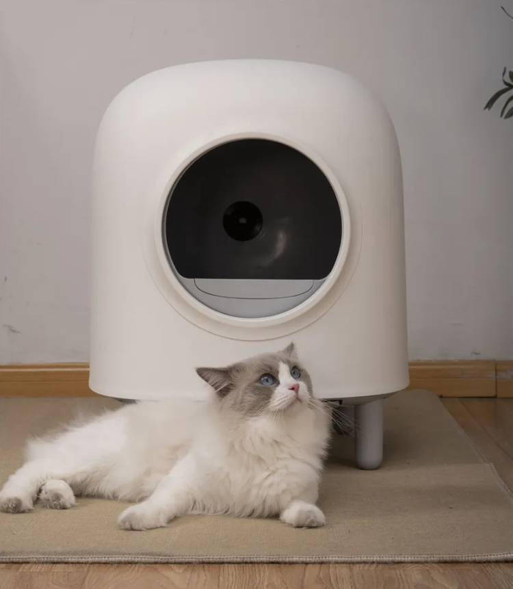 Petree WIFI App Control 2G second generation Automatic Intelligent Cat