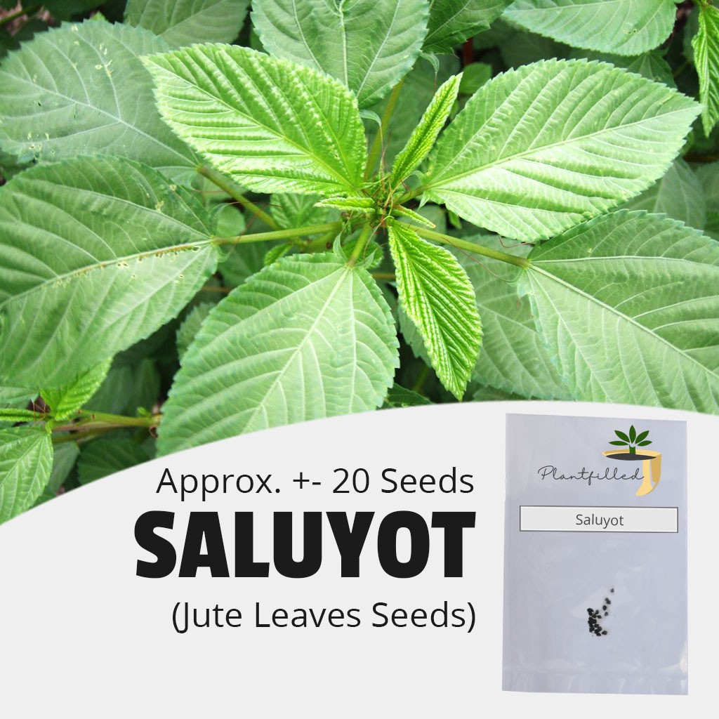 [Plantfilled] Saluyot Jute Leaves Seeds Vegetables Approx 50