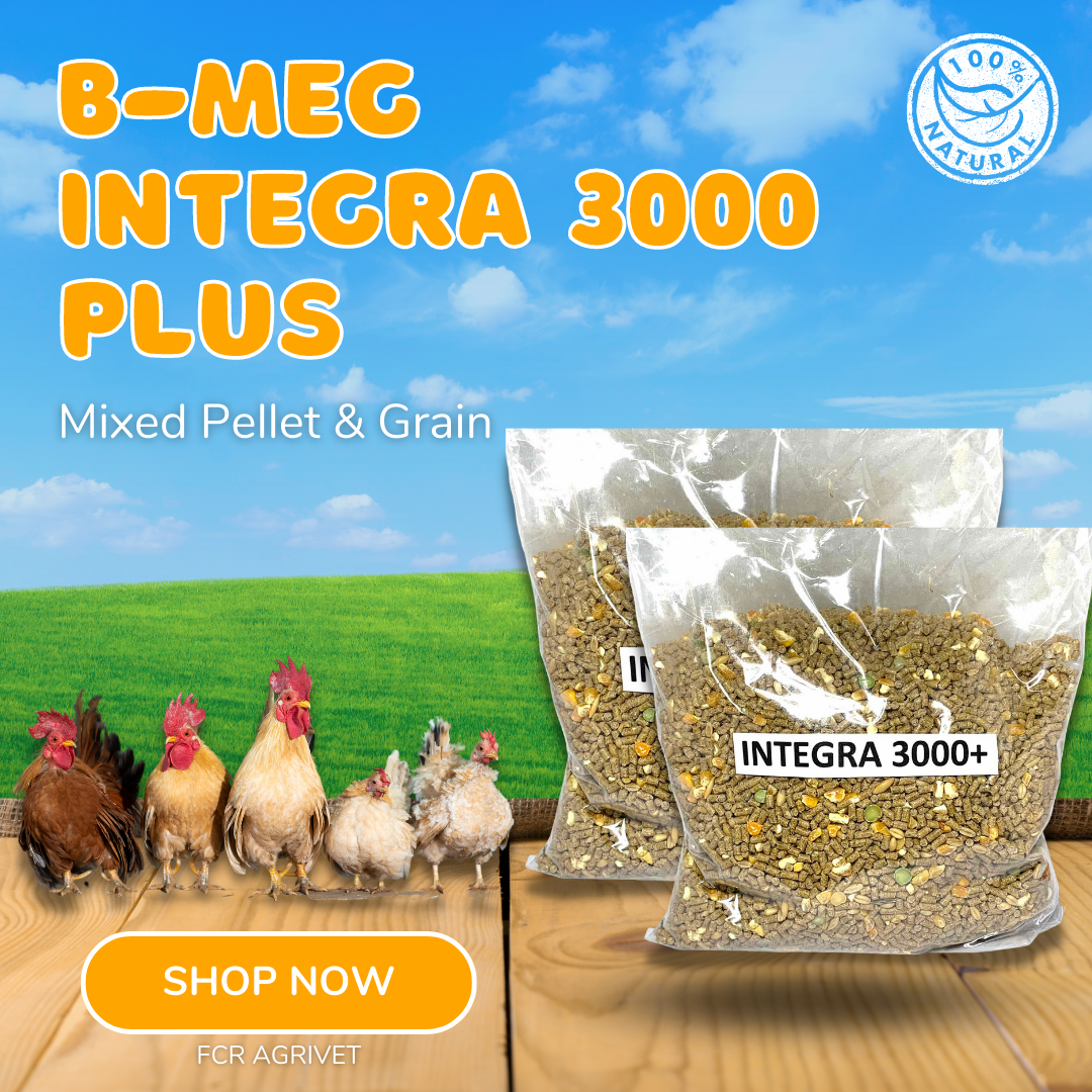 [FCR AGRIVET] 2kg B-MEG Integra 3000 Plus Free Range Chicken Ready ...