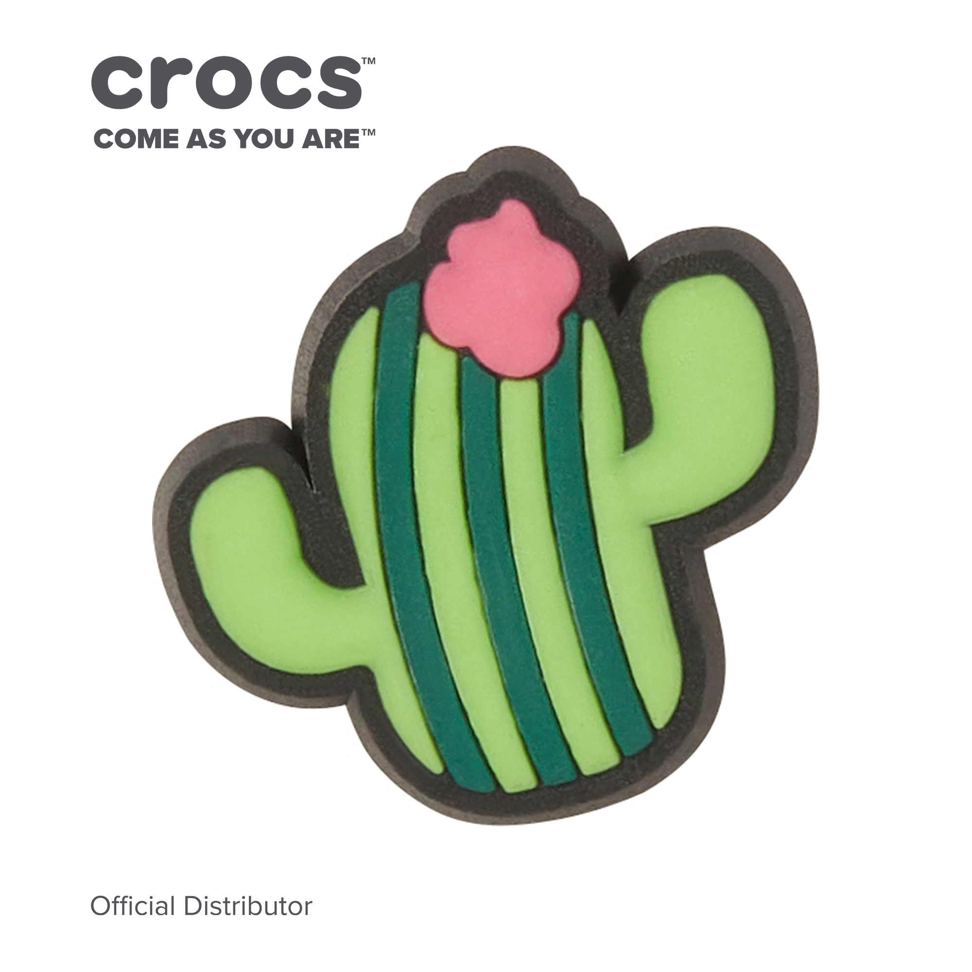 cactus croc charm