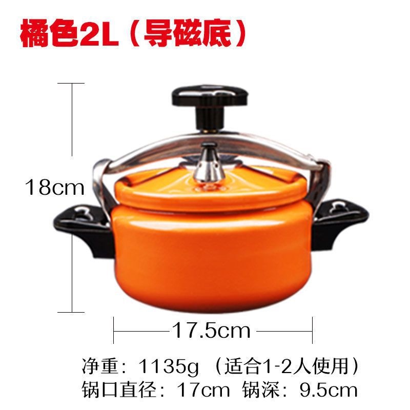 [COD] Explosionproof portable mini pressure cooker outdoor cooking